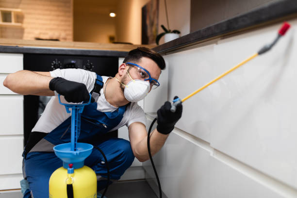 Best Cockroach Control Services  in Sandusky, MI