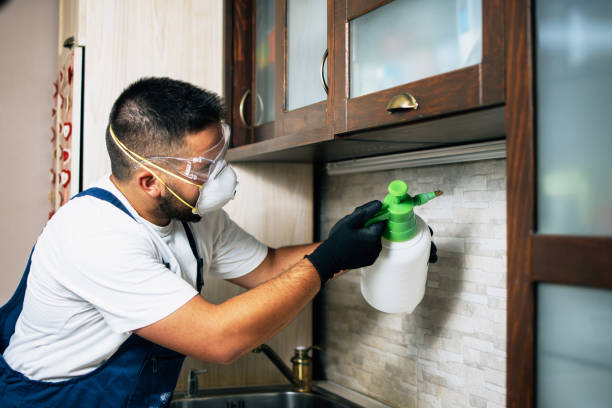 Trusted Sandusky, MI Pest Control Experts