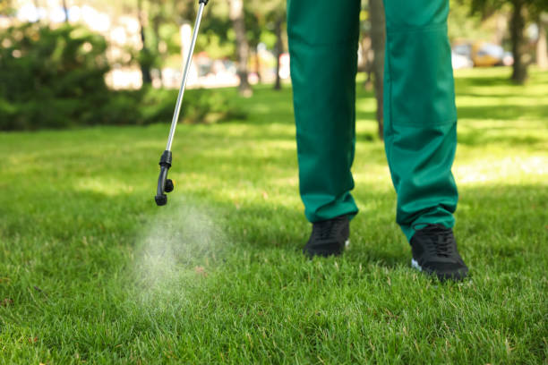 Best Pest Control Near Me  in Sandusky, MI