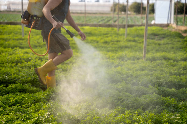 Best Local Pest Control Services  in Sandusky, MI