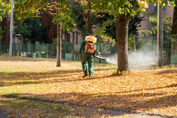 Best Pest Inspection Near Me  in Sandusky, MI