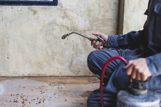 Best Best Pest Control Companies  in Sandusky, MI
